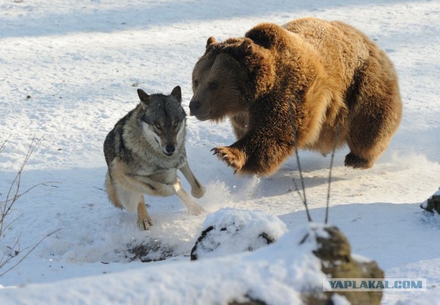 Клев рыбалке не помеха.