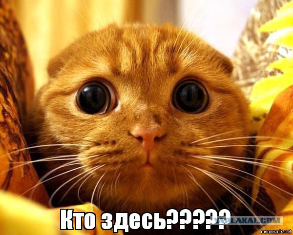 17 главных причин женской измены