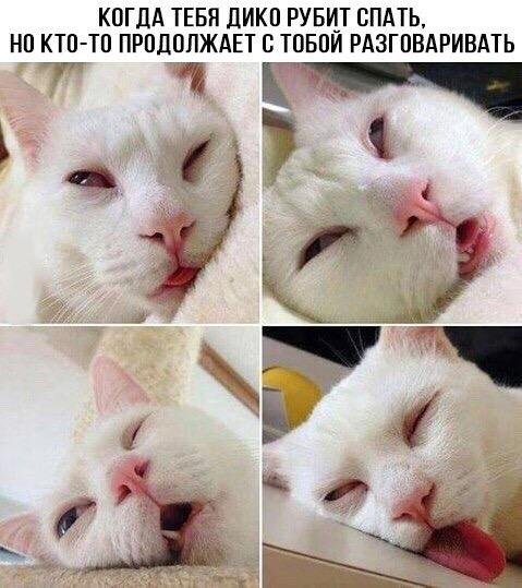 Приколы в стиле "регресс"