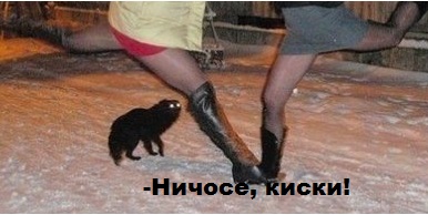 Трешак и вакханалия из соцсетей