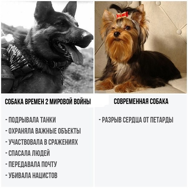 Разное из тырнэта