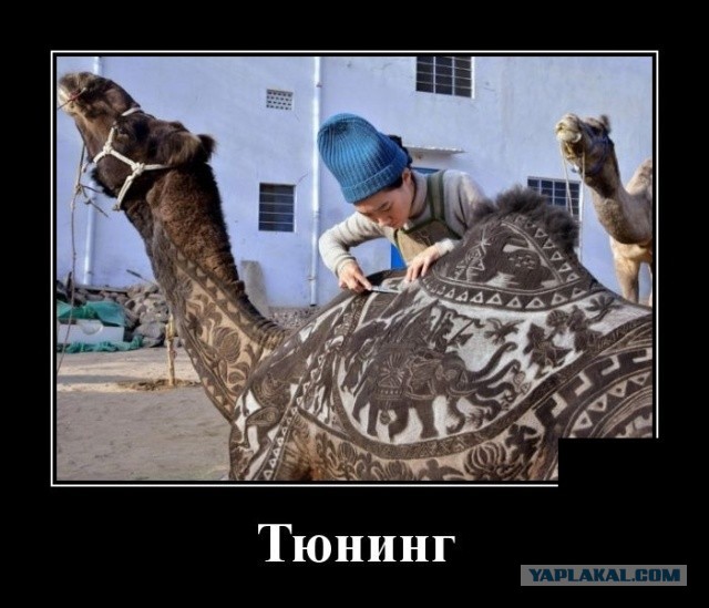 103 картинки для поднятия настроения!
