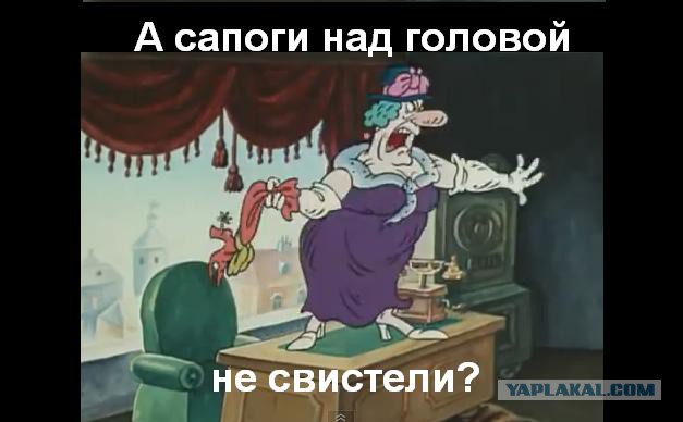 Российский депутат разглядела операцию ВСУ в Донбассе из космоса