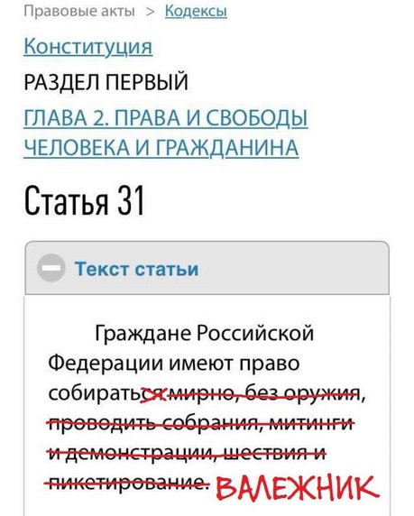 «Плохая власть борется с недовольными, хорошая — с причинами недовольства». Иркутский сенатор осудил действия полиции на акциях протеста в Москве