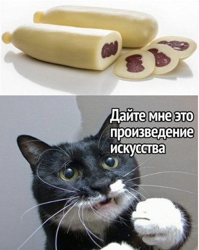 13639644.jpg