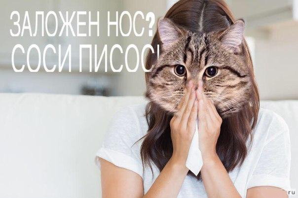 Безнадёга (всё плохо)