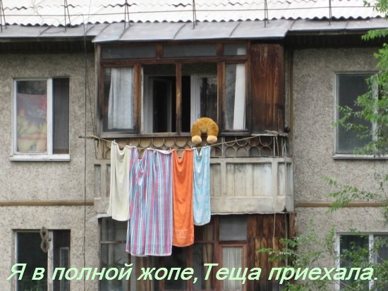Конкурс: подпись к картинке
