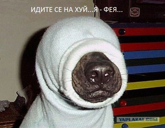 Он пошёл спать