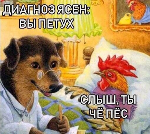 Кто кого: стиль петуха против стиля собаки