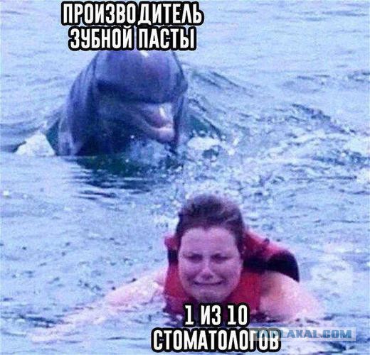 Необходимо перенять опыт Дании
