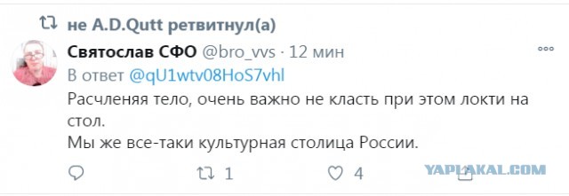 Так себе картинки 13.04.22