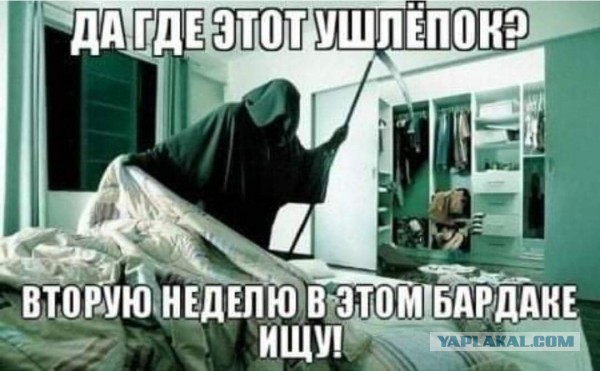 Пятница. Вечер. Картинки всякие... #4