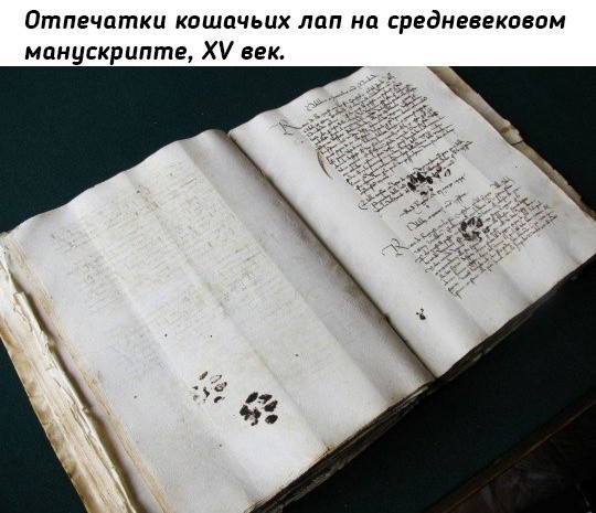 Картинки разные