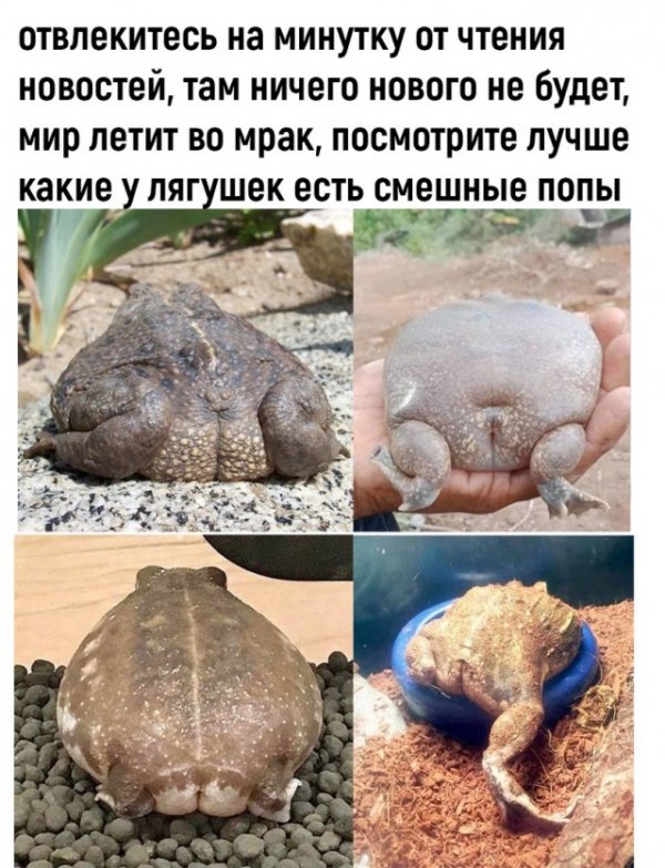 Прикольные и просто красивые картинки 18.11.2022