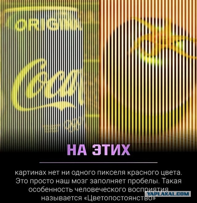 Антидальтоническая картинка