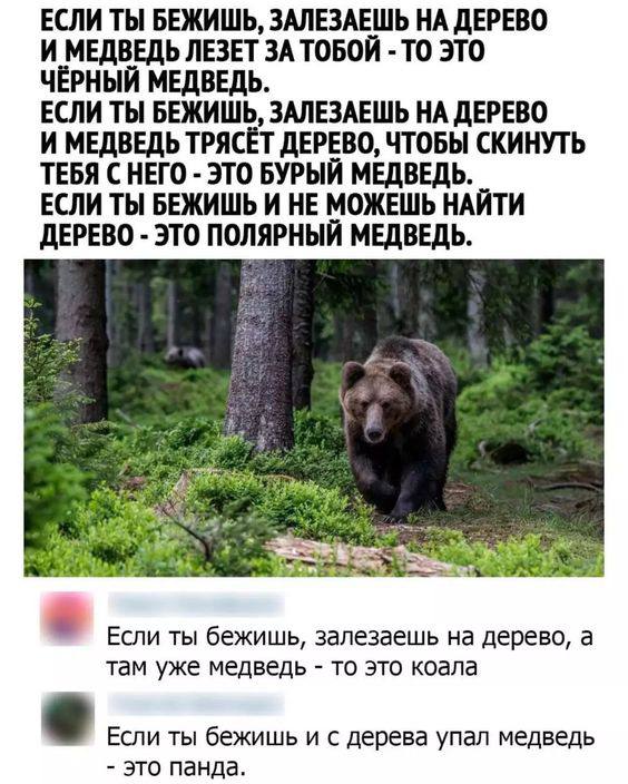 Без врага жизнь скучна, а с врагом - интересна