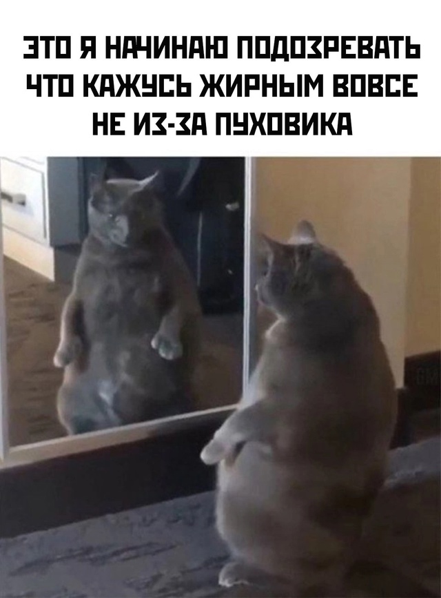 Весёлый полтишок 29.10.24