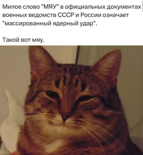 Картиночки, баянчики 09 февраля