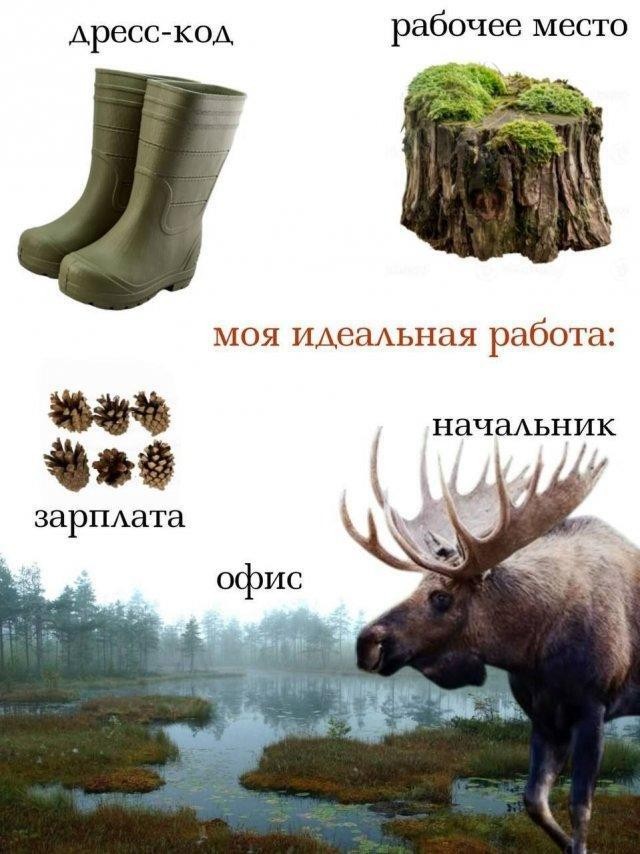 Формула идеального рабочего места