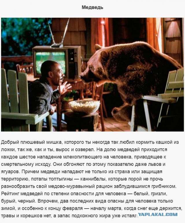 Существа, которых стоит бояться