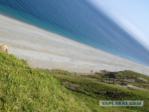 Природа Приморского края