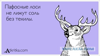 Лося жалко, конечно