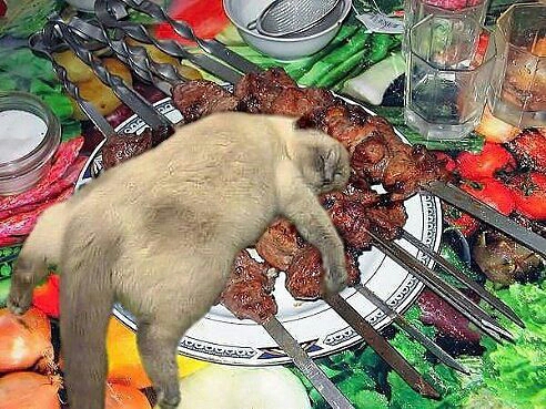 ЯП, С Днём Рождения !