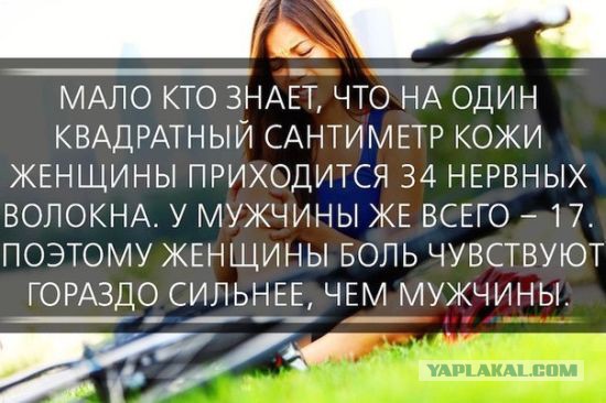 Интересные факты о разном