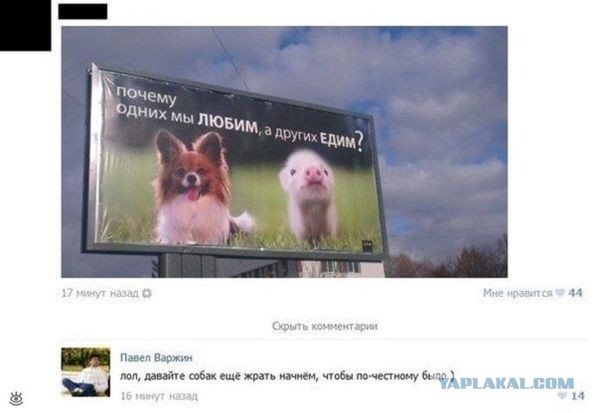 Смешные комментарии 18.10.2015