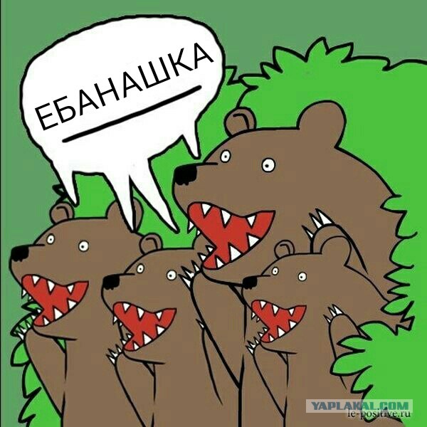 Вот что гранты животворящие делают!