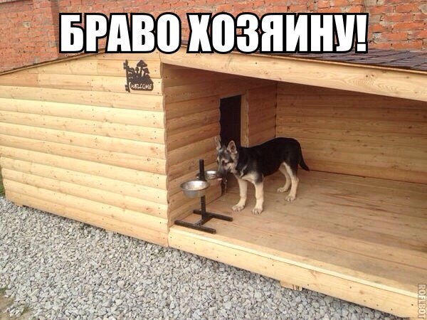 Вольер для немецкой овчарки.