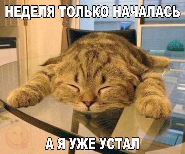 Веселые картинки