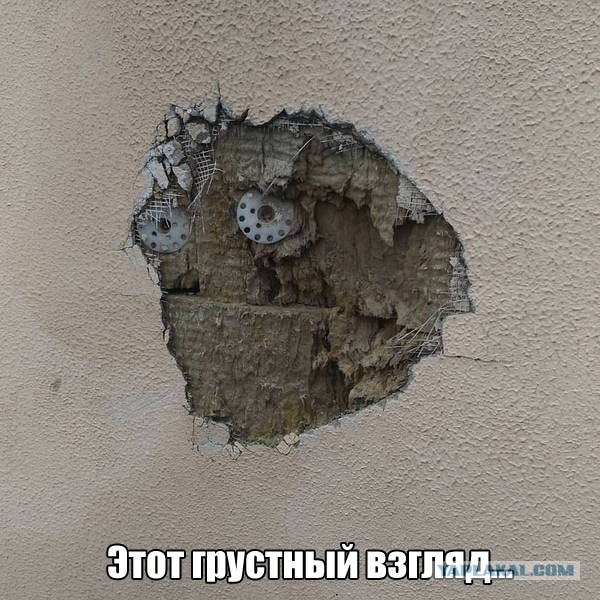 Несколько картинок