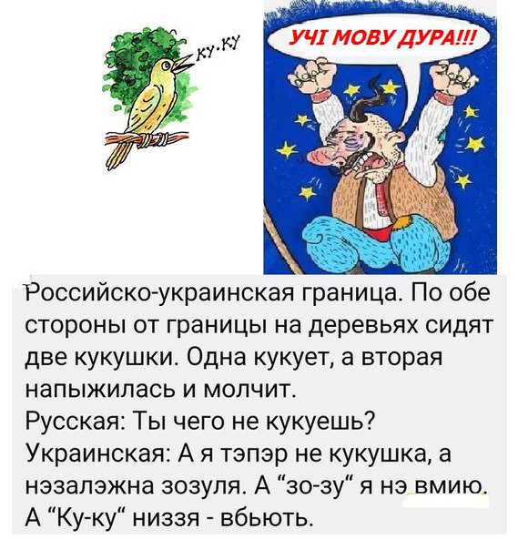 Свидомые и "Тотальный диктант" в Николаеве