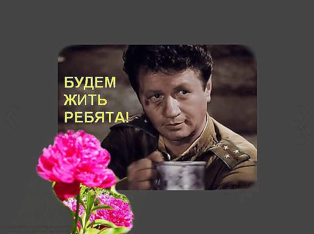 Жизнь как она есть 2