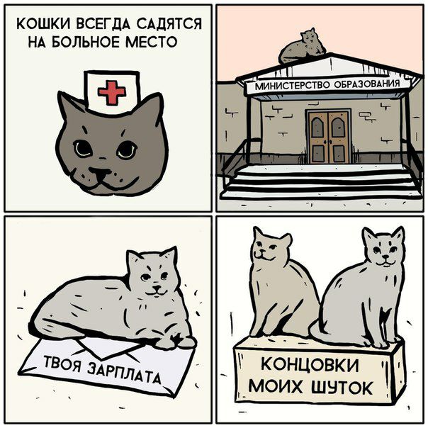Нестандартный юмор