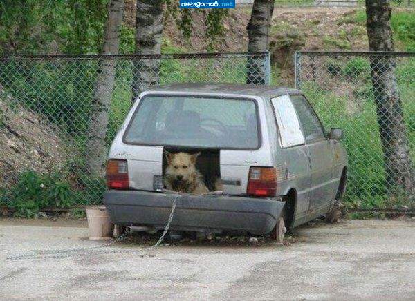Новая будка
