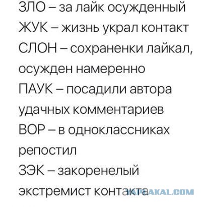 В Госдуме не станут избавлять россиян от уголовного наказания за лайки и репосты