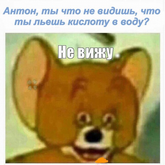 Чернушка