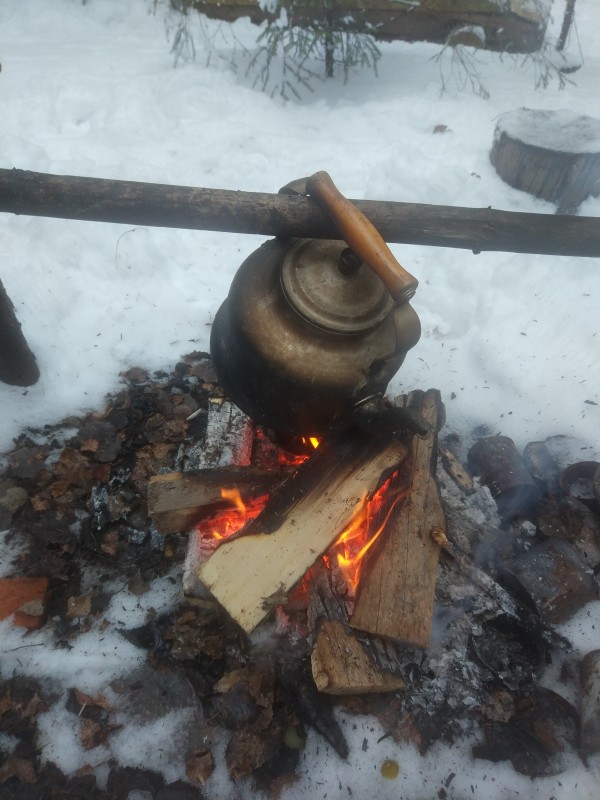 Один мой день в Вепсской тайге\