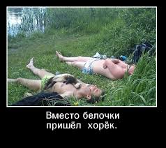 Небольшая субботняя алкоподборка