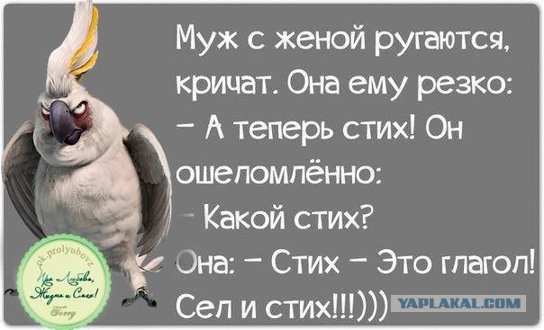 Немного картинок для настроения 12.12.19