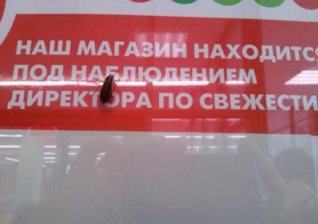Не добавленные в комменты картинки