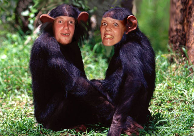 Вытянулась: картинка и 2 жабы