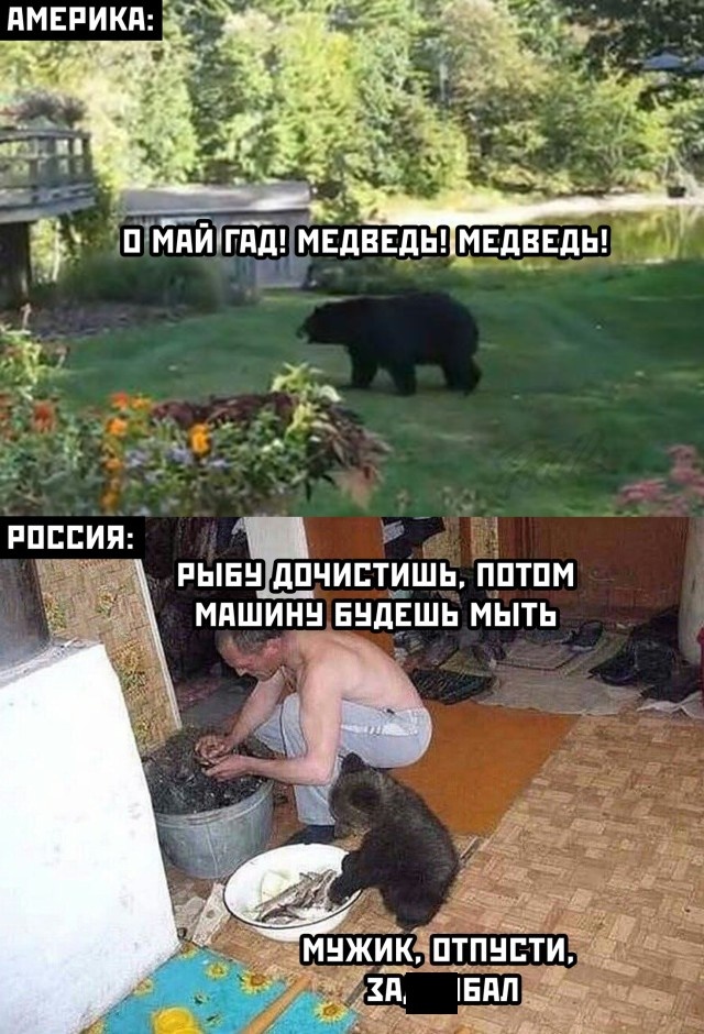 Бредзона 31.01.21