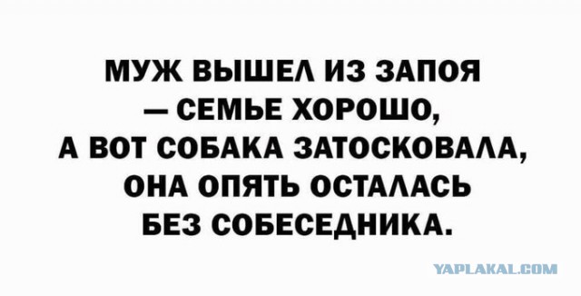 Картинки и мемы для настроения 017
