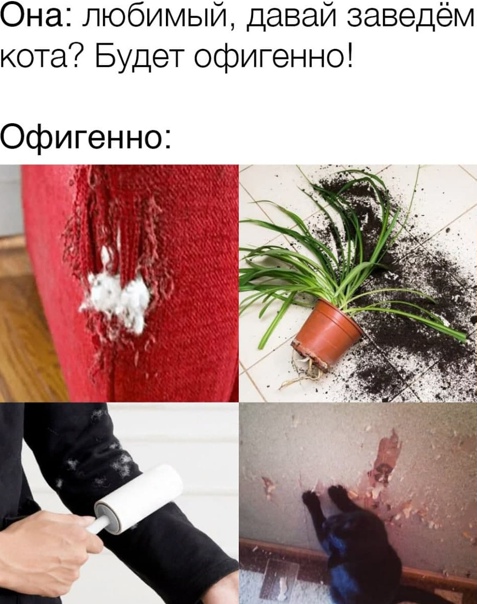 Картинки и мемы для настроения 31.03.2021