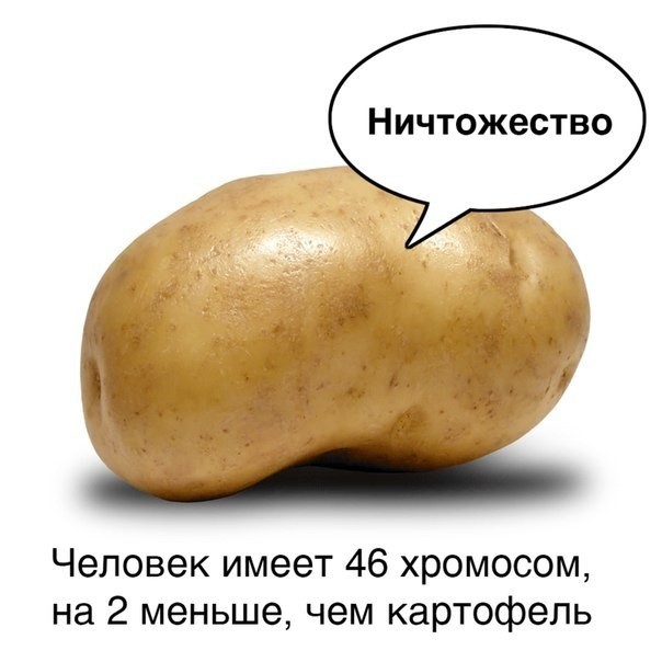 Отмена деградации. Околонаучные картинки