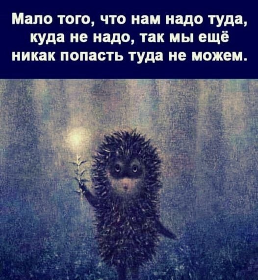 Так себе картинки 11.10.21