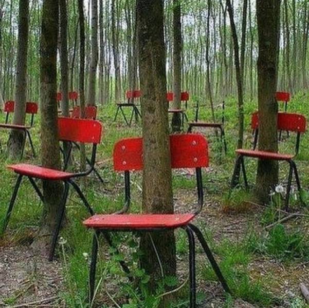 Картинки и мемы для настроения - 15